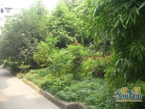 人民中路二段51号3室2厅西