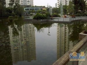 劲力蓝色理想2室2厅东南