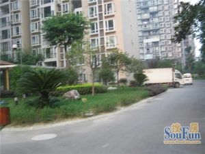紫东锦源4室1厅南