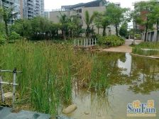 理想沁园2室2厅南北