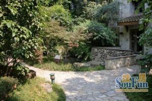 麓山国际塞尔维蒙 3室1厅 东南