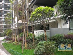 蓝光SOFA社区2室1厅东