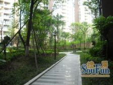 双华麓港 3室1厅 东