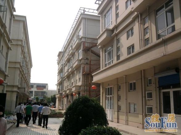 森海豪庭实景图