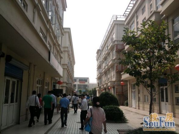森海豪庭实景图