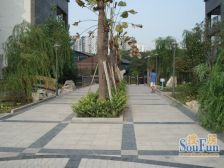 和坤和家园 1室1厅 东南