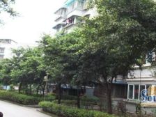 人和 人和花园B区二房