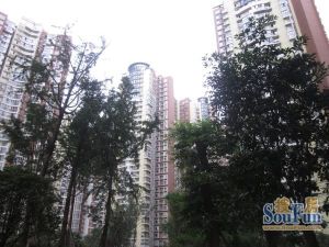 枫祥苑3室2厅西