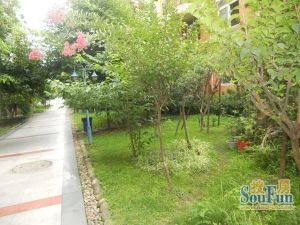 佰客郡1室1厅南