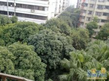 同济新村,近同济地铁,户型方正,采光好