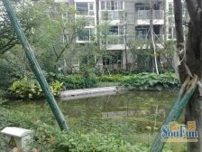 南城都汇汇翠园一期4室2厅南