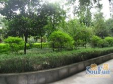 房子端正、干净整洁、配套齐全、交通便利、拎包入住