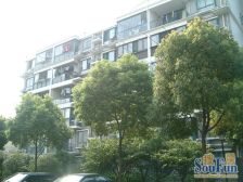 户型正气,双南户型,带天井,视野开阔