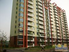 电梯高区,南北两房,采光无遮挡