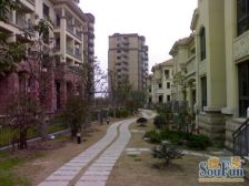 唐镇刚需上车商品房,得房率高,绿化高