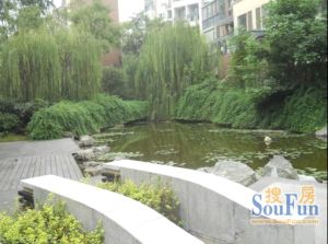 棠湖泊林小镇3室2厅南