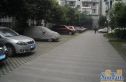 西城俊园实景图