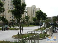 川沙·舜川公寓·1室·1厅