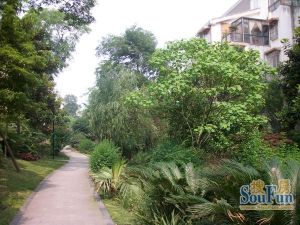 林涧花语4室2厅东南