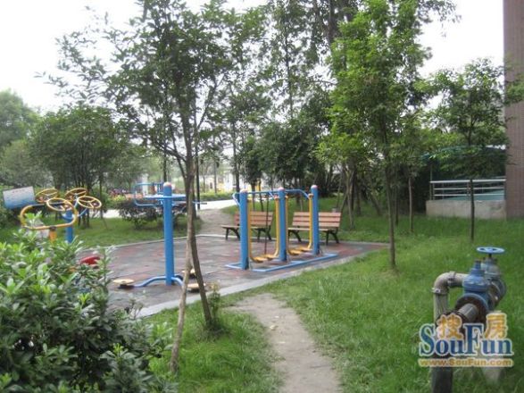 鱼凫阳光实景图