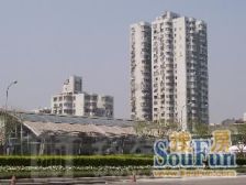 天元公寓,电梯两房,地铁6/9/14,北邻公园,南面是河