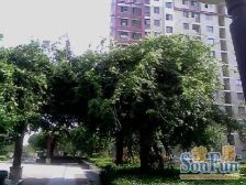 浦江·浦江世博家园十一街坊·2室·1厅