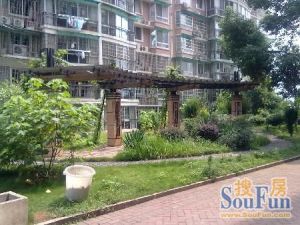福乐康城3室2厅南北