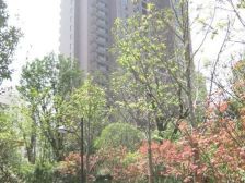 闹中取静,视野开阔,采光加分。