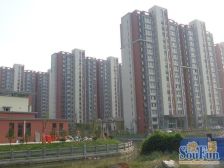 精装大三房 上师大 电梯房 中高区采光好 业主诚意卖