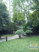 绿地紫瑞里3室1厅东南南西南