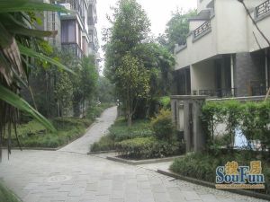 建川丽水青城玫瑰苑桂院 3室2厅 东南