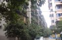 牛王庙干部宿舍实景图