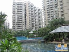 此房满五不唯一,朝南向,格局好户型方正。。