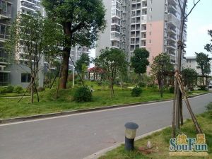 香樟景苑3室2厅南北