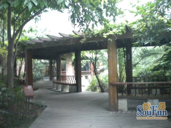 小区相关图