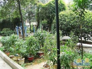 烈士公园博物馆东风路市政协宿舍门卫院子