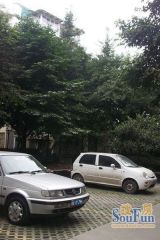 水岸格林 2室1厅 南