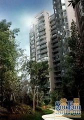 中大君悦金沙三期2室1厅东南西南