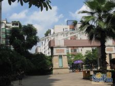 少有顶层复式带独立花园出售!小区中间位置!