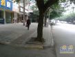 双流顺兴苑实景图