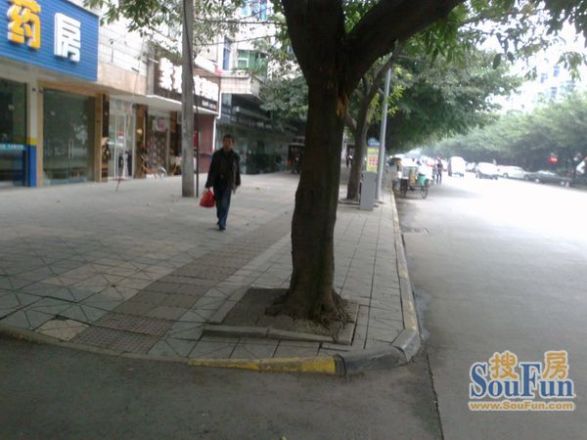 双流顺兴苑实景图
