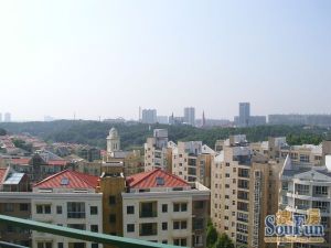 一楼带院子总楼层11层带花园200平精装修可拎包入住