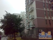 近地铁 电梯房,产权清晰 无抵押 新上房源