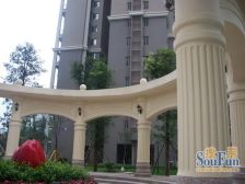 东湖国际 1室1厅 东南