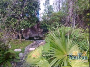 森宇音乐花园 3室1厅 南