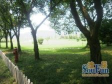 西区 泽科港城国际三房100万