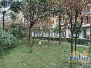 静水香榭2室1厅南