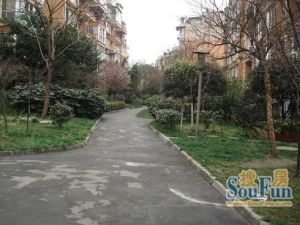 静水香榭 4室1厅 东