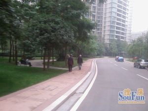 金牛新都会2室2厅西南