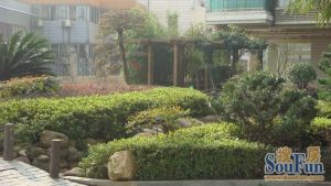 西城湾3室2厅南